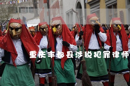重庆丰都县涉税犯罪律师咨询 重庆丰都县涉税犯罪律师咨询