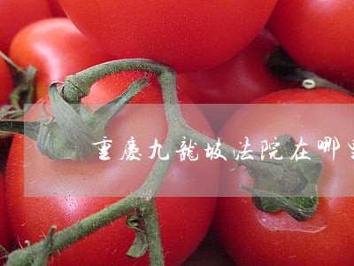 重庆九龙坡法院在哪里 重庆九龙坡法院在哪里