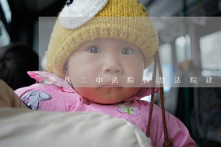 重庆二中法院智慧法院建设 重庆二中法院智慧法院建设