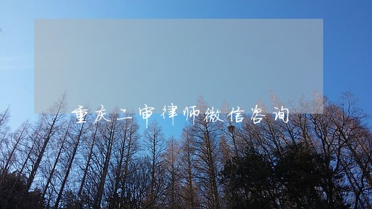 重庆二审律师微信咨询 重庆二审律师微信咨询