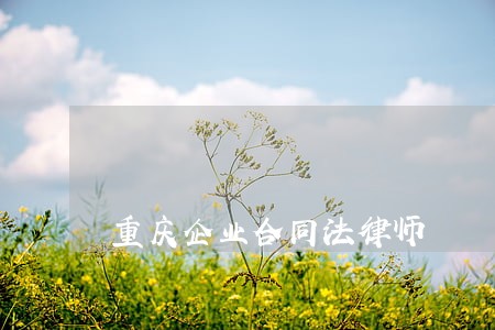 重庆企业合同法律师 重庆企业合同法律师
