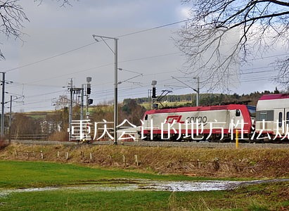 重庆会计的地方性法规 重庆会计的地方性法规