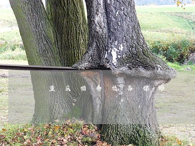 重庆借条债务律师 重庆借条债务律师