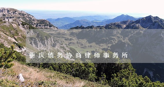重庆债务协商律师事务所 重庆债务协商律师事务所