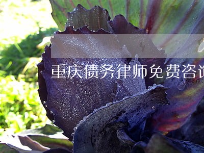 重庆债务律师免费咨询 重庆债务律师免费咨询