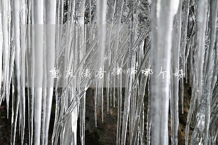 重庆债务律师哪个好 重庆债务律师哪个好