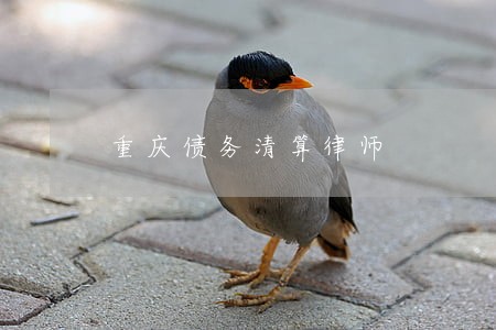 重庆债务清算律师 重庆债务清算律师