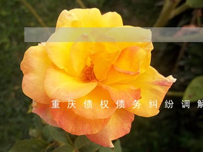 重庆债权债务纠纷调解律师 重庆债权债务纠纷调解律师