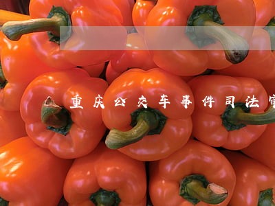 重庆公交车事件司法审判结果