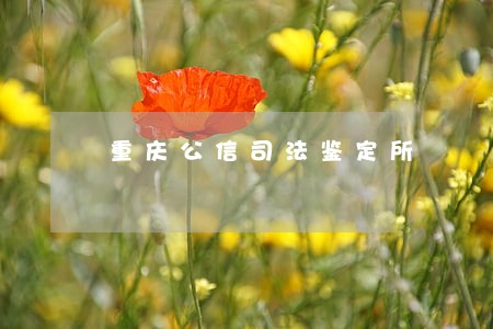 重庆公信司法鉴定所