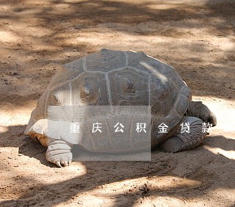 重庆公积金贷款逾期