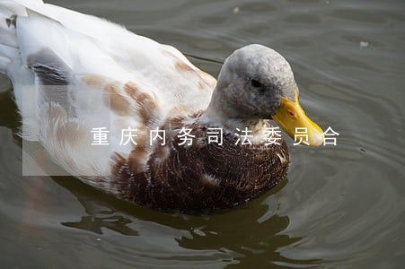 重庆内务司法委员合