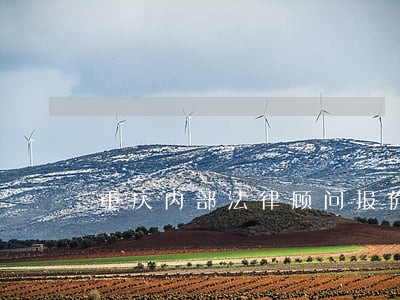 重庆内部法律顾问报价 重庆内部法律顾问报价