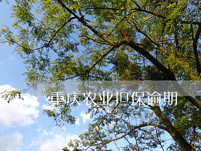 重庆农业担保逾期 重庆农业担保逾期
