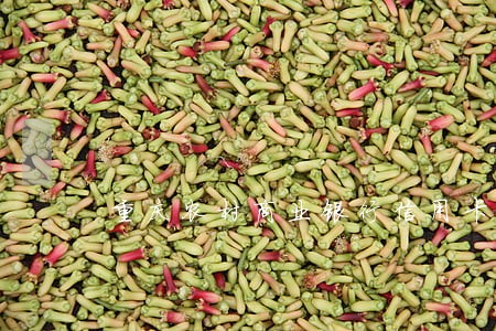 重庆农村商业银行信用卡逾期