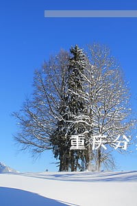 重庆分期乐逾期协商