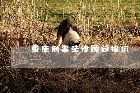 重庆刑事法律顾问报价 重庆刑事法律顾问报价