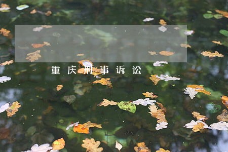 重庆刑事诉讼 重庆刑事诉讼