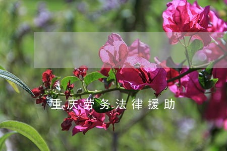 重庆劳务法律援助 重庆劳务法律援助