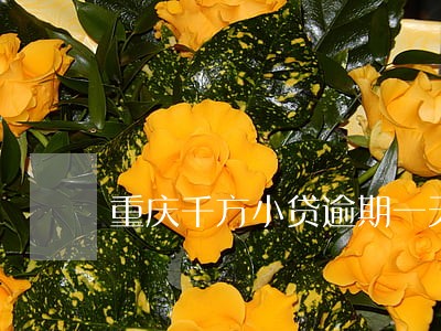 重庆千方小贷逾期一天 重庆千方小贷逾期一天