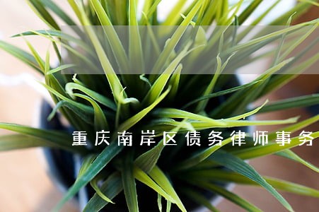 重庆南岸区债务律师事务所哪家好