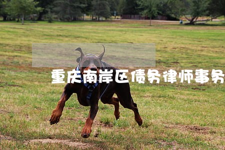重庆南岸区债务律师事务所排名 重庆南岸区债务律师事务所排名