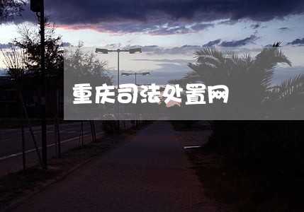 重庆司法处置网 重庆司法处置网