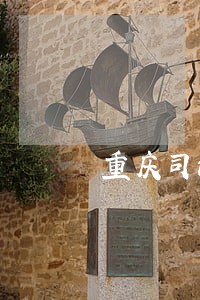 重庆司法审计收费