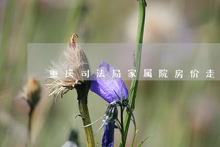 重庆司法局家属院房价走势 重庆司法局家属院房价走势