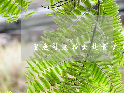 重庆司法拍卖处置资产
