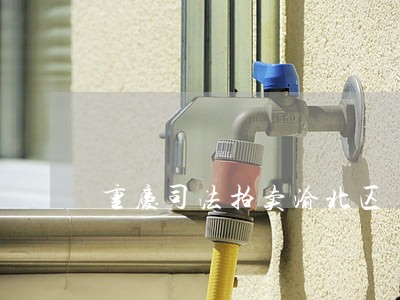 重庆司法拍卖渝北区 重庆司法拍卖渝北区