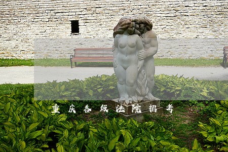 重庆各级法院招考