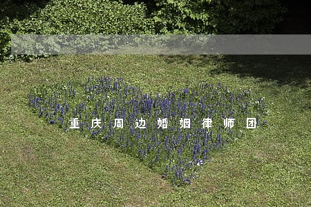 重庆周边婚姻律师团 重庆周边婚姻律师团