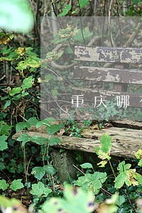 重庆哪有免费法律援助