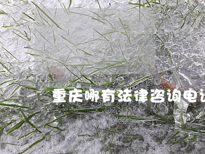 重庆哪有法律咨询电话 重庆哪有法律咨询电话