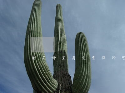 重庆哪里有免费律师咨询 重庆哪里有免费律师咨询