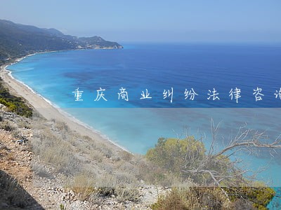 重庆商业纠纷法律咨询 重庆商业纠纷法律咨询