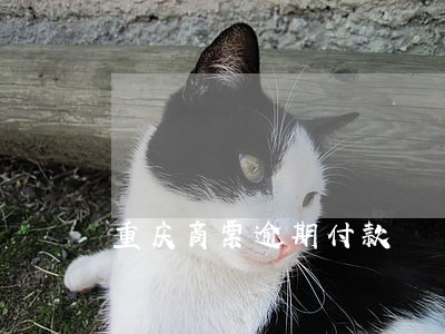 重庆商票逾期付款 重庆商票逾期付款