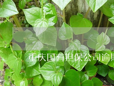 重庆国有担保公司逾期 重庆国有担保公司逾期