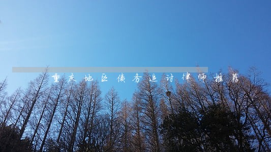 重庆地区债务追讨律师推荐 重庆地区债务追讨律师推荐