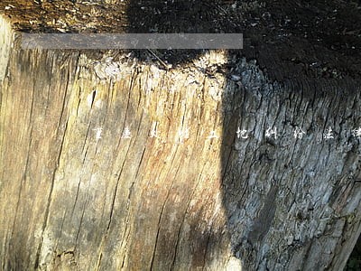 重庆处理土地纠纷法律问题律师 重庆处理土地纠纷法律问题律师