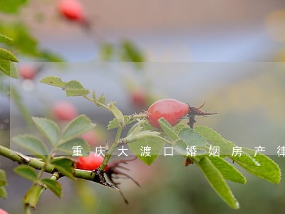 重庆大渡口婚姻房产律师如何委托 重庆大渡口婚姻房产律师如何委托