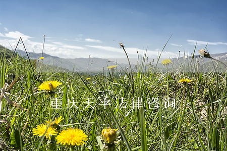 重庆天平法律咨询