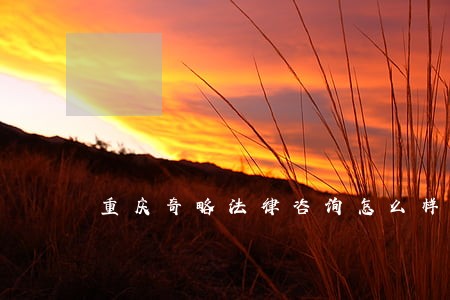 重庆奇略法律咨询怎么样 重庆奇略法律咨询怎么样