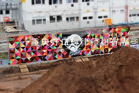 重庆好口碑律师都有哪些 重庆好口碑律师都有哪些