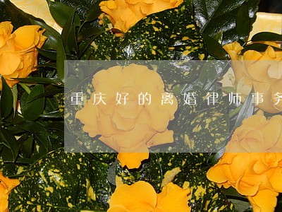重庆好的离婚律师事务所 重庆好的离婚律师事务所