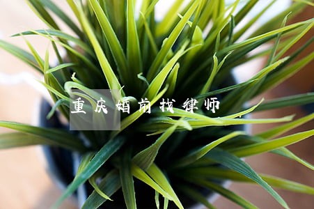 重庆婚前找律师 重庆婚前找律师