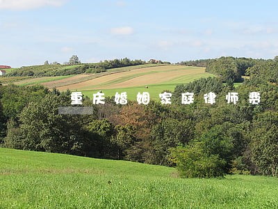 重庆婚姻家庭律师费 重庆婚姻家庭律师费