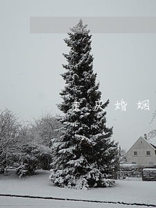 重庆婚姻律师咨询费 重庆婚姻律师咨询费