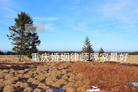重庆婚姻律师哪家最好 重庆婚姻律师哪家最好
